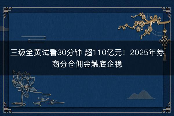 三级全黄试看30分钟 超110亿元！2025年券商分仓佣金触底企稳