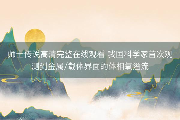 师士传说高清完整在线观看 我国科学家首次观测到金属/载体界面的体相氧溢流