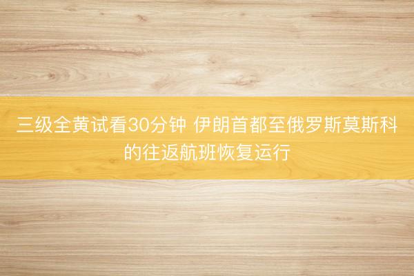 三级全黄试看30分钟 伊朗首都至俄罗斯莫斯科的往返航班恢复运行