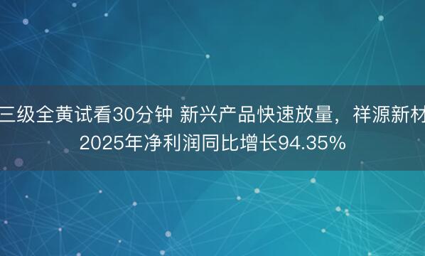 三级全黄试看30分钟 新兴产品快速放量，祥源新材2025年净利润同比增长94.35%