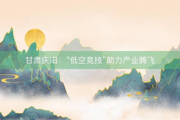 甘肃庆阳：“低空竞技”助力产业腾飞