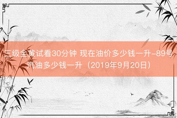 三级全黄试看30分钟 现在油价多少钱一升-89号汽油多少钱一升（2019年9月20日）