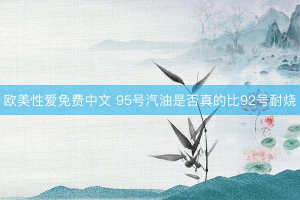 欧美性爱免费中文 95号汽油是否真的比92号耐烧