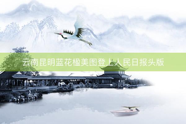 云南昆明蓝花楹美图登上人民日报头版