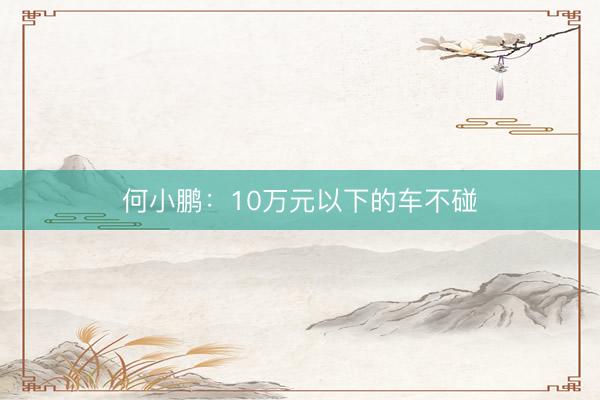 何小鹏：10万元以下的车不碰