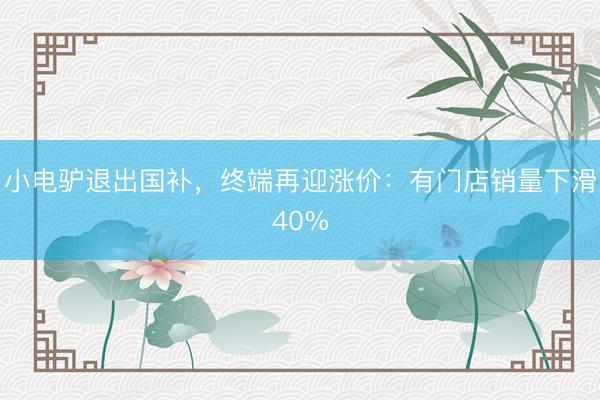 小电驴退出国补，终端再迎涨价：有门店销量下滑40%