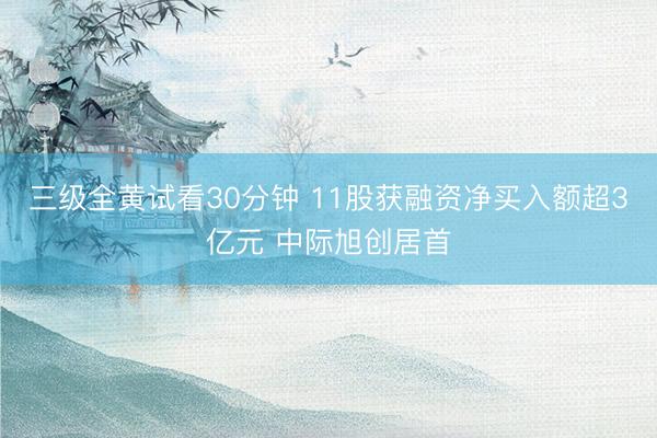 三级全黄试看30分钟 11股获融资净买入额超3亿元 中际旭创居首