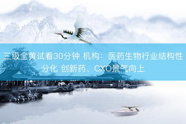 三级全黄试看30分钟 机构：医药生物行业结构性分化 创新药、CXO景气向上