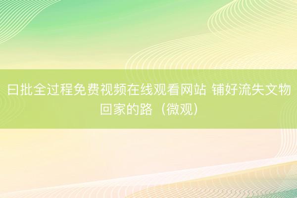 曰批全过程免费视频在线观看网站 铺好流失文物回家的路（微观）