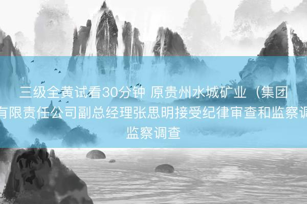 三级全黄试看30分钟 原贵州水城矿业（集团）有限责任公司副总经理张思明接受纪律审查和监察调查
