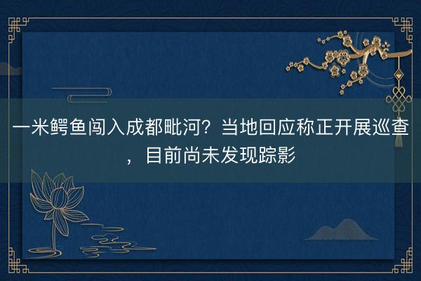 一米鳄鱼闯入成都毗河？当地回应称正开展巡查，目前尚未发现踪影