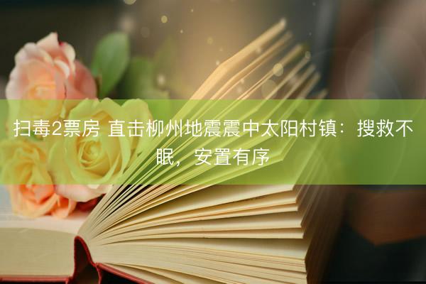 扫毒2票房 直击柳州地震震中太阳村镇：搜救不眠，安置有序