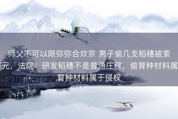 师父不可以限弥弥合欢宗 男子偷几支稻穗被索赔55万元，法院：研发稻穗不是普通庄稼，偷育种材料属于侵权