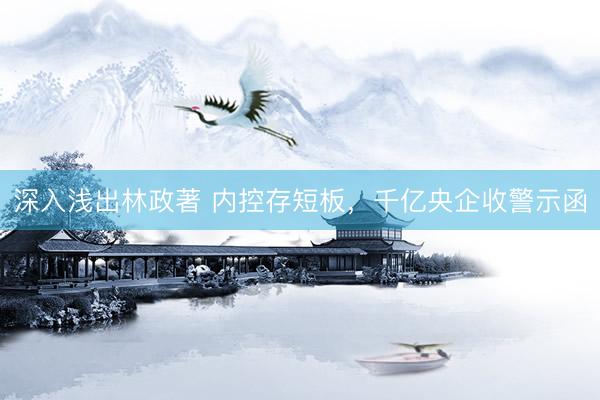 深入浅出林政著 内控存短板，千亿央企收警示函