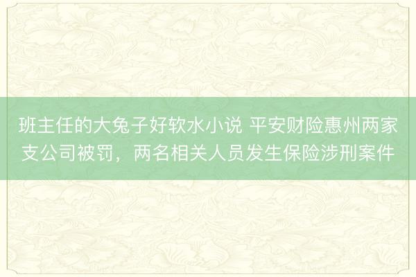 班主任的大兔子好软水小说 平安财险惠州两家支公司被罚，两名相关人员发生保险涉刑案件