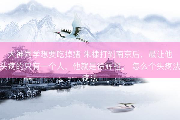 大神同学想要吃掉猪 朱棣打到南京后，最让他头疼的只有一个人，他就是徐辉祖。 怎么个头疼法