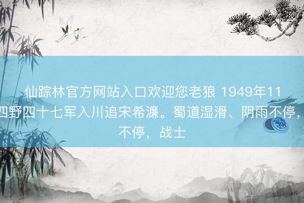 仙踪林官方网站入口欢迎您老狼 1949年11月，四野四十七军入川追宋希濂。蜀道湿滑、阴雨不停，战士