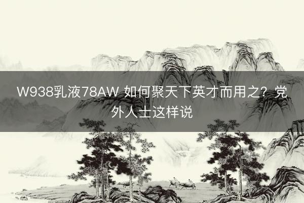 W938乳液78AW 如何聚天下英才而用之？党外人士这样说
