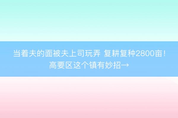 当着夫的面被夫上司玩弄 复耕复种2800亩！高要区这个镇有妙招→