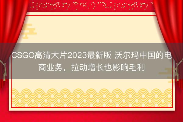 CSGO高清大片2023最新版 沃尔玛中国的电商业务，拉动增长也影响毛利