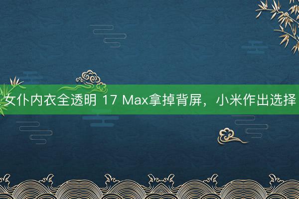 女仆内衣全透明 17 Max拿掉背屏,小米作出选择