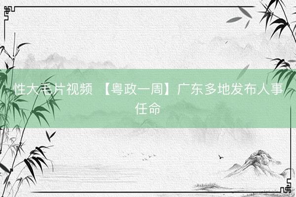 性大毛片视频 【粤政一周】广东多地发布人事任命