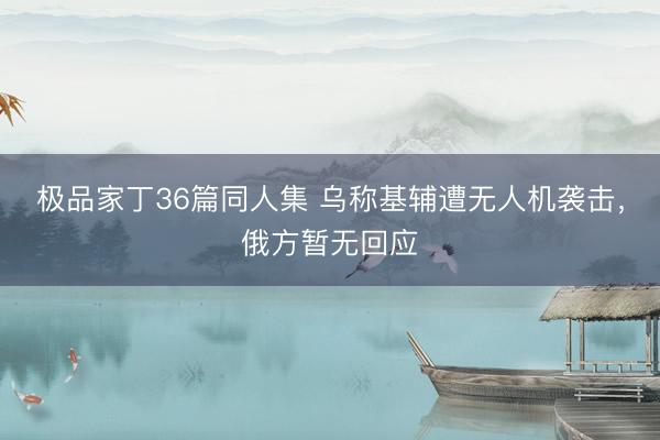 极品家丁36篇同人集 乌称基辅遭无人机袭击，俄方暂无回应