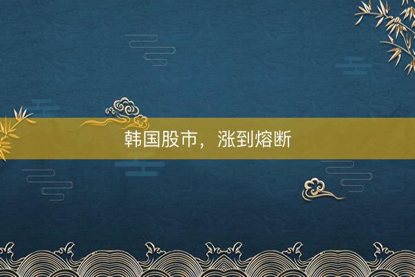 韩国股市，涨到熔断