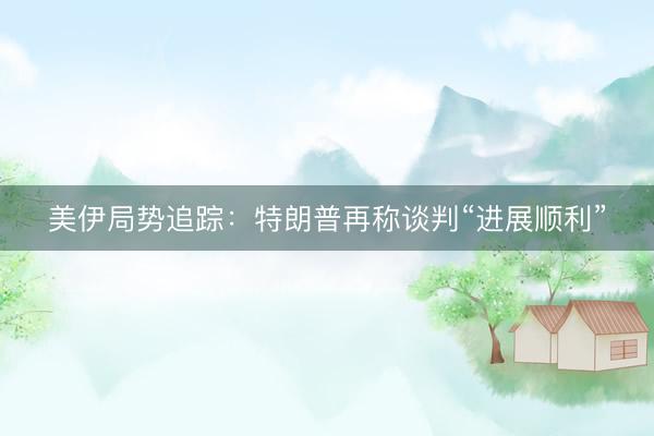 美伊局势追踪：特朗普再称谈判“进展顺利”