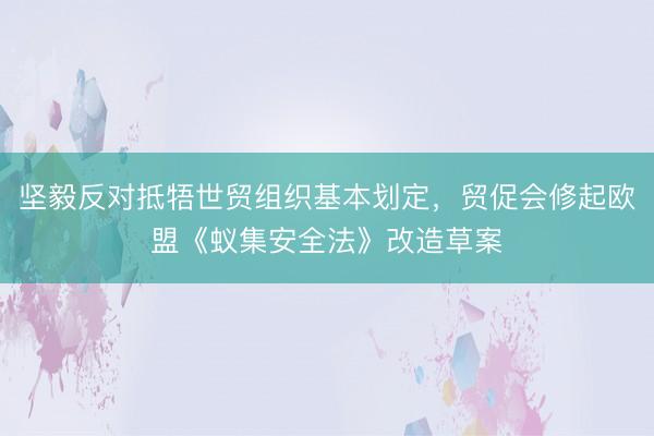 坚毅反对抵牾世贸组织基本划定，贸促会修起欧盟《蚁集安全法》改造草案