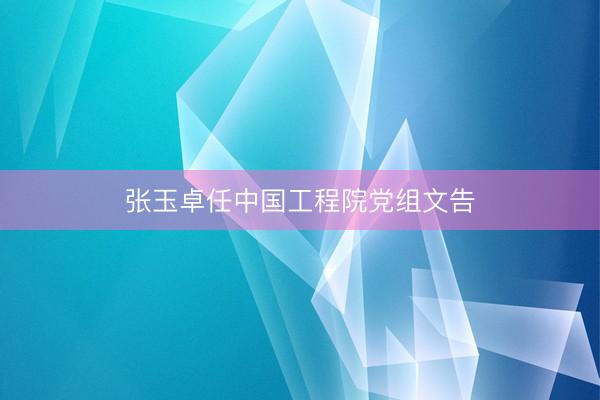 张玉卓任中国工程院党组文告