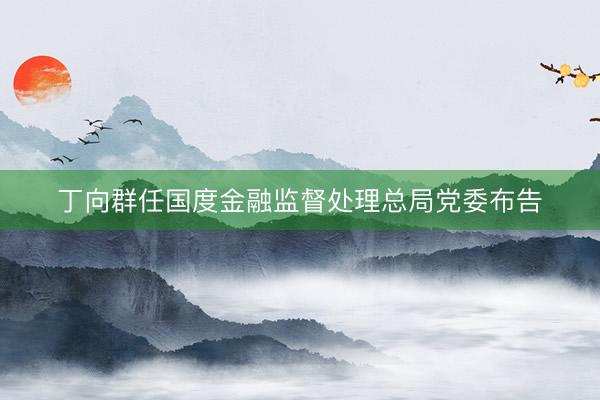 丁向群任国度金融监督处理总局党委布告