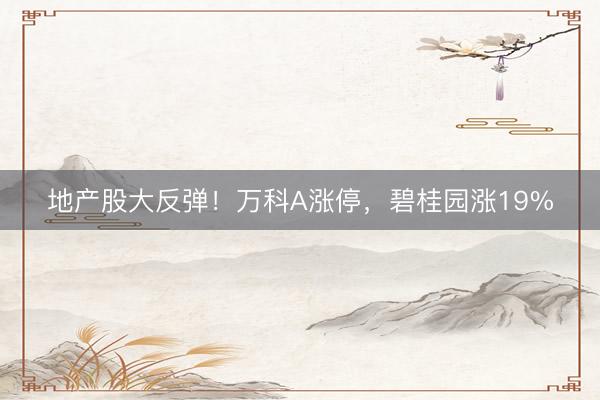 地产股大反弹！万科A涨停，碧桂园涨19%