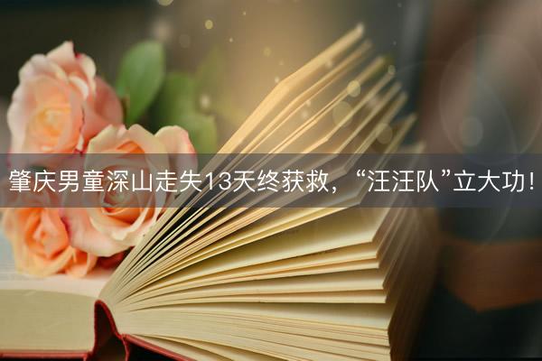 肇庆男童深山走失13天终获救，“汪汪队”立大功！