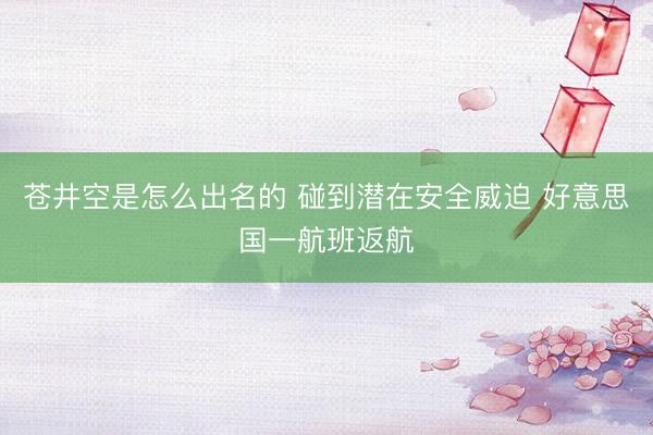 苍井空是怎么出名的 碰到潜在安全威迫 好意思国一航班返航