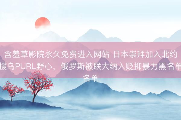 含羞草影院永久免费进入网站 日本崇拜加入北约援乌PURL野心，俄罗斯被联大纳入贬抑暴力黑名单