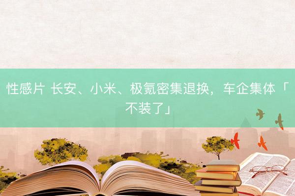 性感片 长安、小米、极氪密集退换，车企集体「不装了」