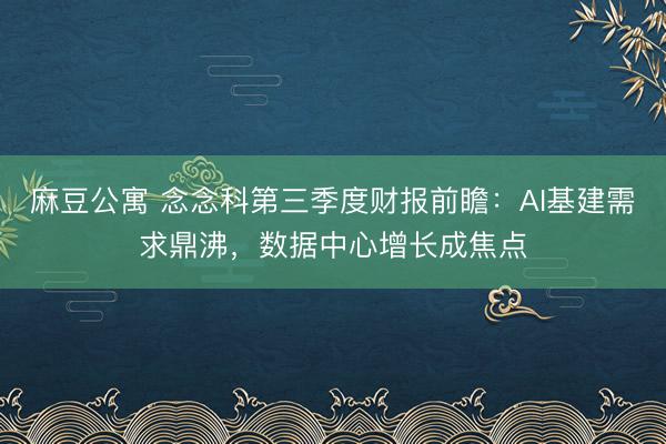 麻豆公寓 念念科第三季度财报前瞻：AI基建需求鼎沸，数据中心增长成焦点