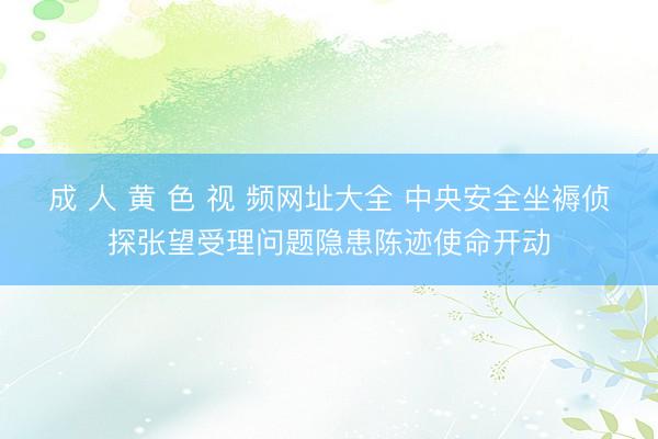 成 人 黄 色 视 频网址大全 中央安全坐褥侦探张望受理问题隐患陈迹使命开动