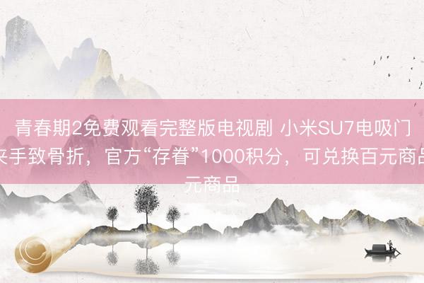 青春期2免费观看完整版电视剧 小米SU7电吸门夹手致骨折，官方“存眷”1000积分，可兑换百元商品