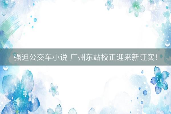 强迫公交车小说 广州东站校正迎来新证实!