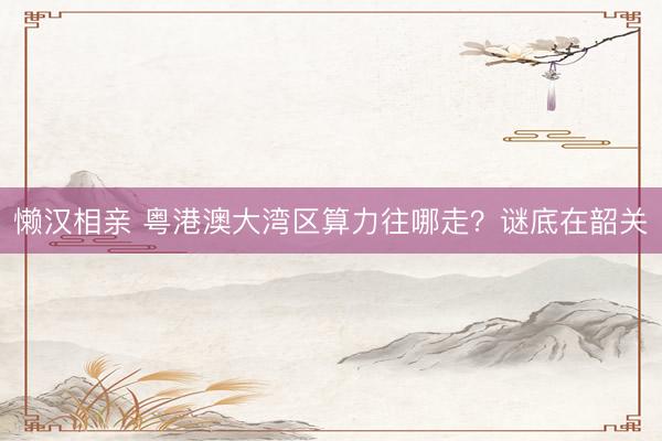 懒汉相亲 粤港澳大湾区算力往哪走？谜底在韶关
