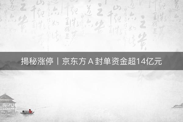 揭秘涨停丨京东方Ａ封单资金超14亿元
