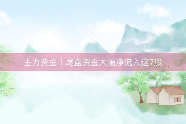 主力资金丨尾盘资金大幅净流入这7股