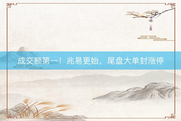 成交额第一！兆易更始，尾盘大单封涨停