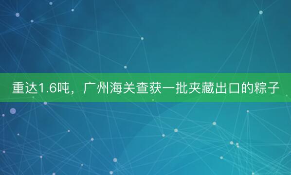 重达1.6吨，广州海关查获一批夹藏出口的粽子